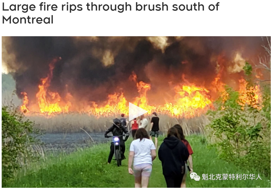 蒙特利尔南岸发生大火 一大片灌木丛化为灰烬