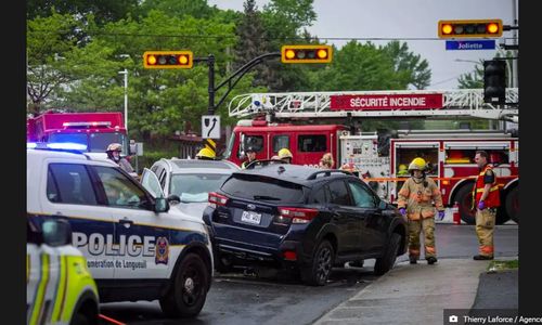 蒙特利尔南岸车祸，两名行人和狗在路口被汽车撞倒 道路无限期关闭 ...