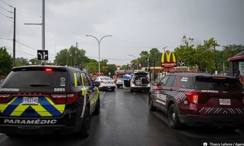 蒙特利尔南岸车祸，两名行人和狗在路口被汽车撞倒 道路无限期关闭 ...