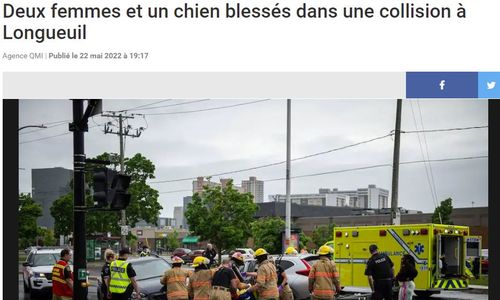 蒙特利尔南岸车祸，两名行人和狗在路口被汽车撞倒 道路无限期关闭 ...