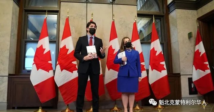 加拿大联邦最新预算案出炉！严打炒房 全额征税，这些人免费看牙 ...