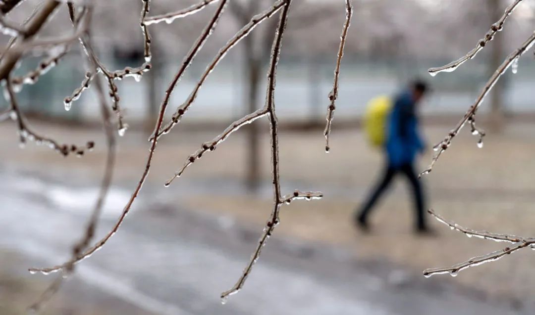 冻雨致魁省数万户家庭停电 蒙特利尔情况最严重，摔伤事故频发 救援电话被打爆 … …