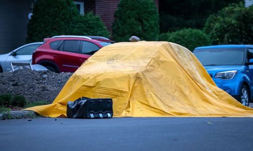 蒙特利尔南岸一名幼儿在街道车上 出生后不久死亡