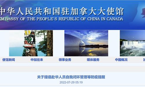 驻加大使馆发重要提醒：自加赴华输入病例持续出现 出发前要这么做 ...
