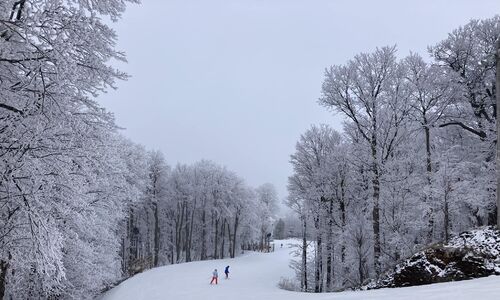 极寒天气 魁省多个滑雪场关闭 冬季狂欢节推迟