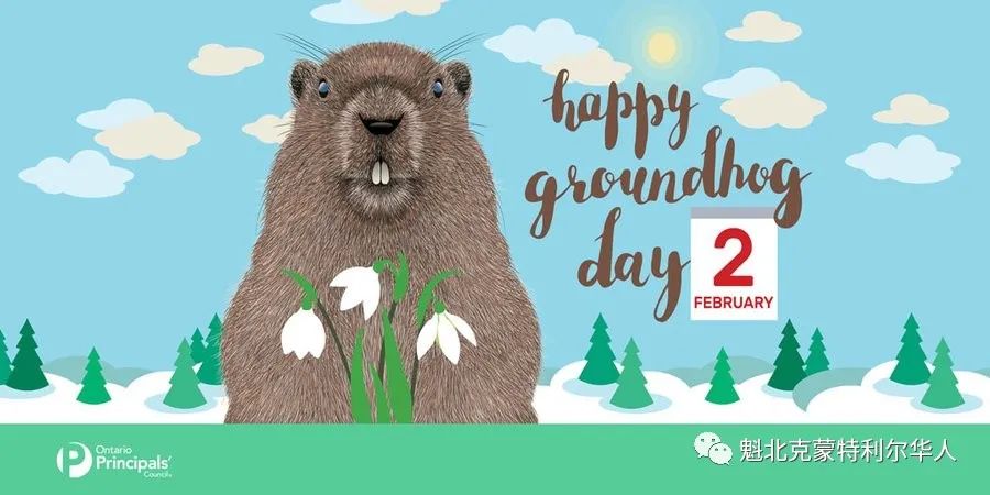 2月2日是土拨鼠日：今年是早春还是漫长冬天？