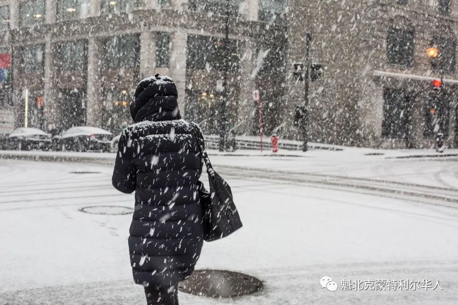 气温骤降 漫长的寒冬正在逼近，蒙特利尔今冬第一场雪即将到来 ...