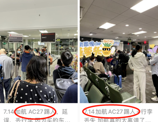 航班踢人+行李丢失!华人乘客崩溃:别坐飞机…