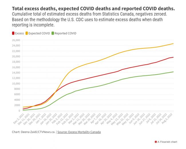 最强最善变病毒!加拿大死亡人数倍增 WHO发警报