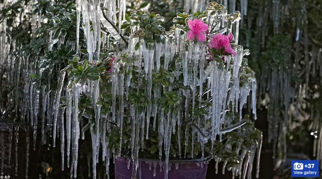 -50℃ 北美成冰冻"地狱" 史上最冷平安夜