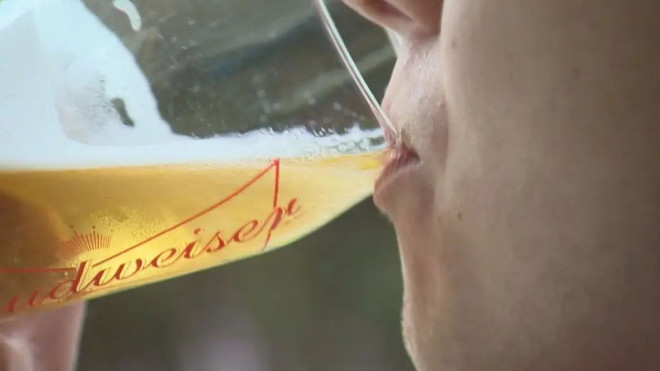加拿大建议喝酒量一周不超过2杯 每年7000例癌症与酒有关