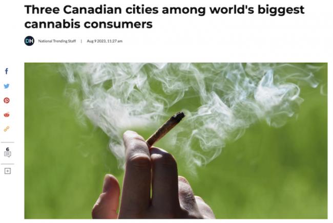 无语 加拿大三城市跻身全球最大大麻消费地行列