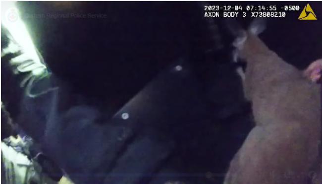 加拿大袋鼠公路狂飙 野外逍遥！狂殴警察！