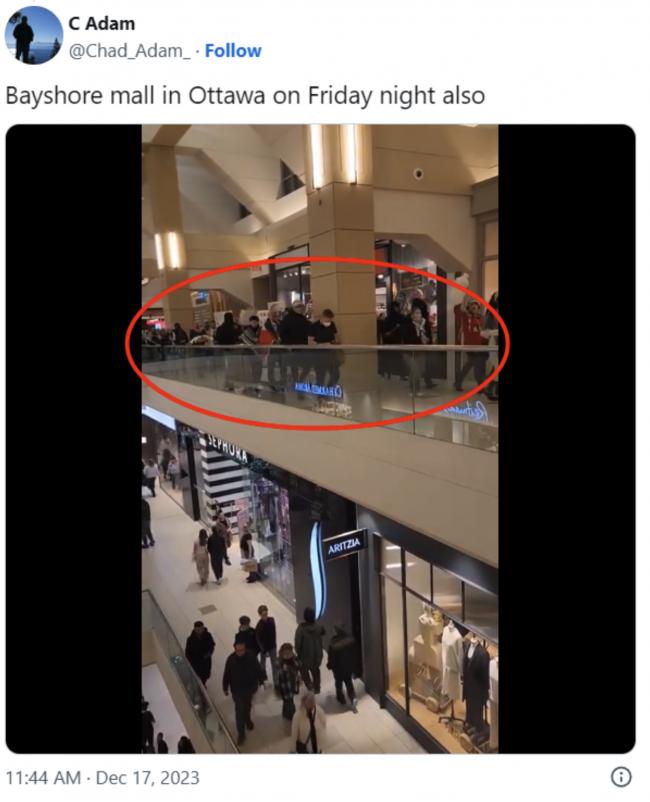 加拿大商场爆发混乱:蒙面暴徒当众"威胁杀人"