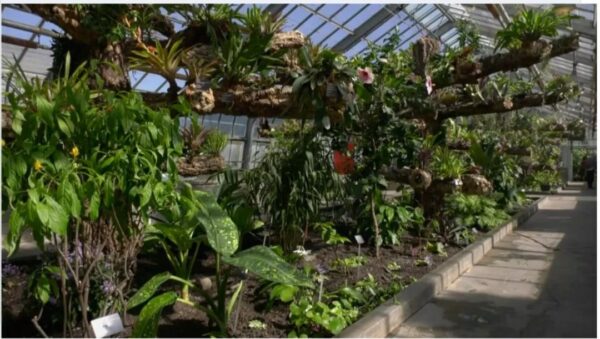 蒙特利尔周末好去处：植物园展览温室重开、家居展、公共市场枫糖节、免费博物馆…