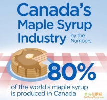 加拿大枫糖浆的那些事儿 你都知道吗？